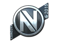 Team EnVyUs (Foil) | Katowice 2015 (Prior to March 5, 2015)