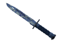 Bayonet Bright Water
