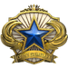 2018 Service Medal - Level 3