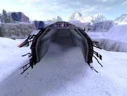 The area where the C4 must be planted.