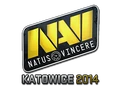 Natus Vincere