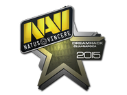 Natus Vincere - Cluj-Napoca 2015