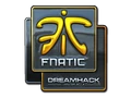 Fnatic (Foil)