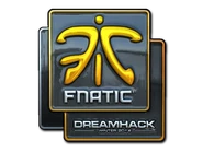 Csgo-dreamhack2014-fnatic foil large.png (49 KB) Fnatic (Foil)