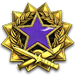 2017 Service Medal - Level 4