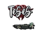 TeSeS