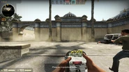 C4 Model on Dust