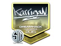 Csgo-cluj2015-sig karrigan foil large