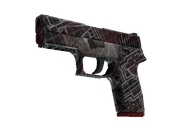 P250 - Facility Draft