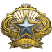 2018 Service Medal - Level 1