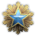 2016 Service Medal - Level 2