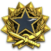 2017 Service Medal - Level 7