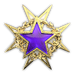 Service medal 2015 2 big