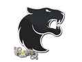 FURIA