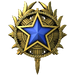 2020 Service Medal - Level 3