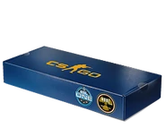 ESL One 2014 Souvenir Package