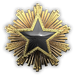 2016 Service Medal - Level 7