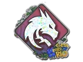 Team Spirit (Glitter)