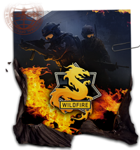 Csgo-opwildfire-journal.png