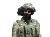 IDF