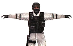 Cscz rogue st6arctic.png (81 KB) SEAL Team 6 wearing arctic camouflage