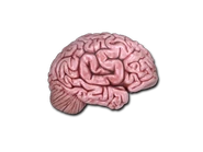 Csgo-community-sticker-2-cs-on-the-mind.png (34 KB) CS on the Mind