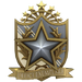 2022 Service Medal - Level 1