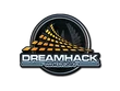 DreamHack Winter 2014 Foil Sticker