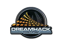Csgo-dreamhack2014-dreamhackwinter2014 foil large