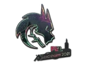 Team Spirit (Holo)