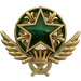 2021 Service Medal - Level 2