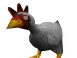 Chicken/Gallery