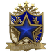 Service Medal 2022 lvl3