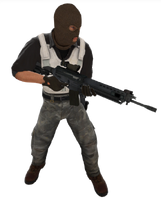 SG 553/Gallery | Counter-Strike Wiki | Fandom