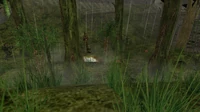 Martin runs into a mine and gets killed.