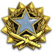 2017 Service Medal - Level 1