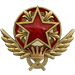 2021 Service Medal - Level 6