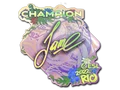 jame (Holo, Champion)