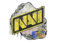 Natus Vincere