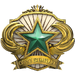 2018 Service Medal - Level 2