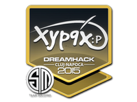 Csgo-cluj2015-sig xyp9x large