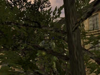 Sniper hiding in a tree