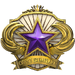 2018 Service Medal - Level 4