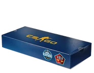 ESL One 2014 Souvenir Package
