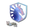 Team Liquid (Holo)