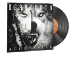 Beartooth 02