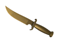 Terrorist World Model
