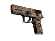 P250 - Red Rock