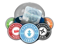 The Team Roles sticker capsule, Perfect World version