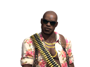 Customplayer tm jungle raider varianta.png